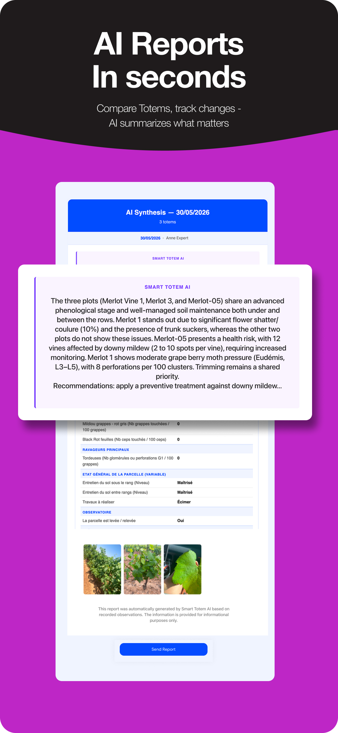 AI report